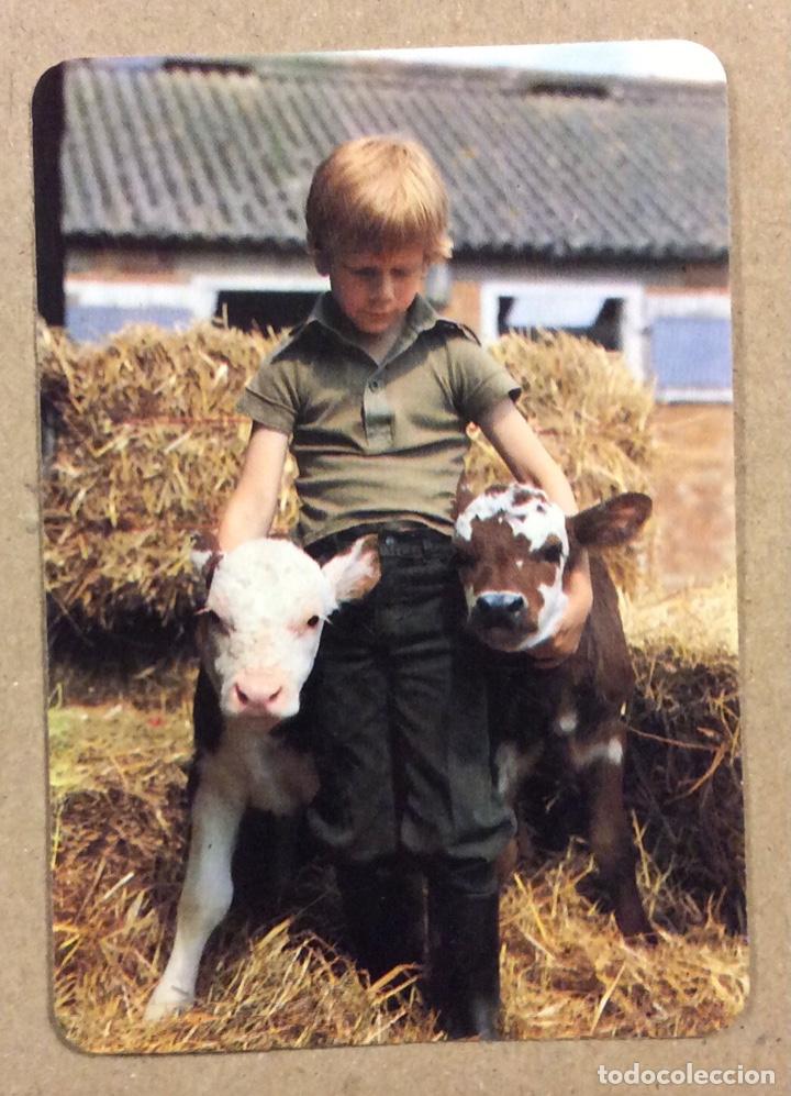 Calendars: CAFETER&Iacute;A AMAIUR (MUSKIZ - SOMORROSTRO). CALENDARIO PUBLICITARIO DE 1995.