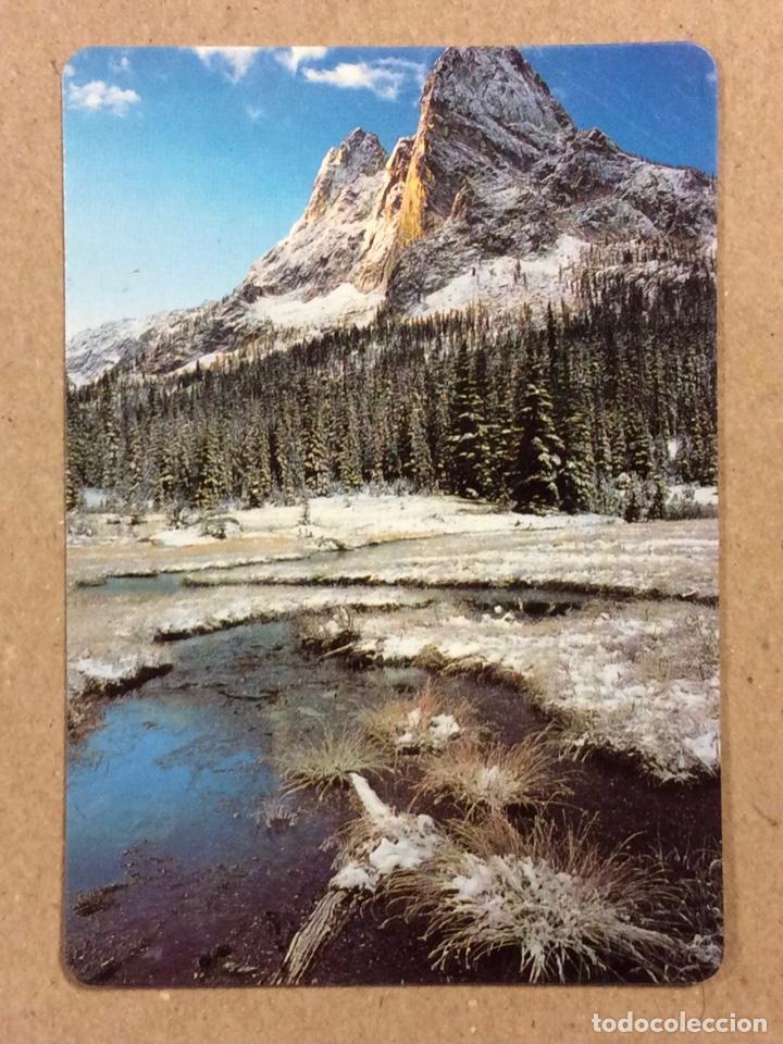 Calendars: ANAYOSU REGALOS BISUTER&Iacute;A (BARAKALDO). CALENDARIO PUBLICITARIO DE 1996.