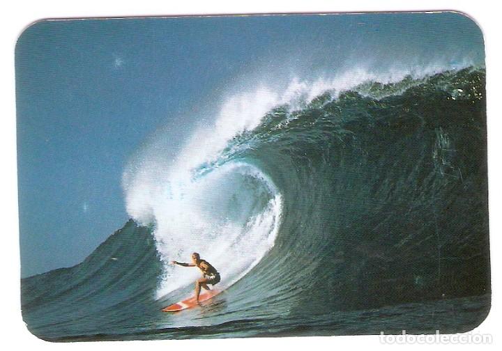 Kalender: CALENDARIO DE BOLSILLO DE SERIE EDIJAR A&Ntilde;O 1999 DEPORTES - SURF - SIN PUBLICIDAD: VER FOTO REVERSO