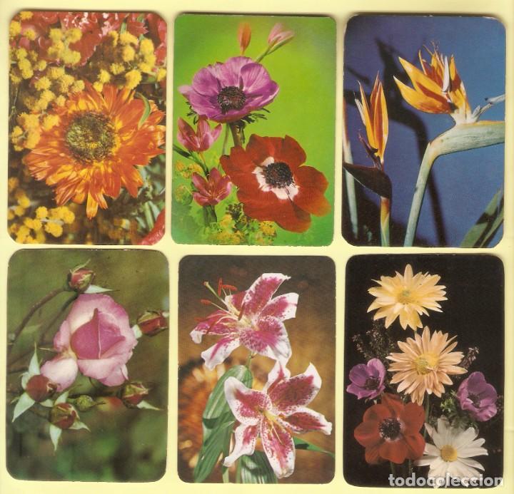 Kalender: 6 CALENDARIOS DE BOLSILLO A&Ntilde;OS 1971 - 1978 FLORA - FLORES - PUBLICIDAD: VER FOTO REVERSOS