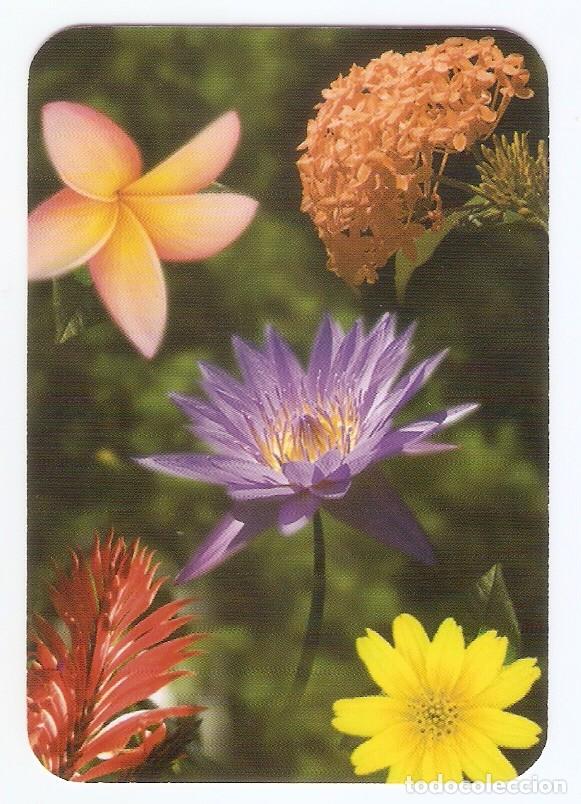 Kalender: CALENDARIO BOLSILLO DE LA SERIE EDIJAR A&Ntilde;O 2009 FLORA - FLORES - SIN PUBLICIDAD -VER FOTO REVERSO