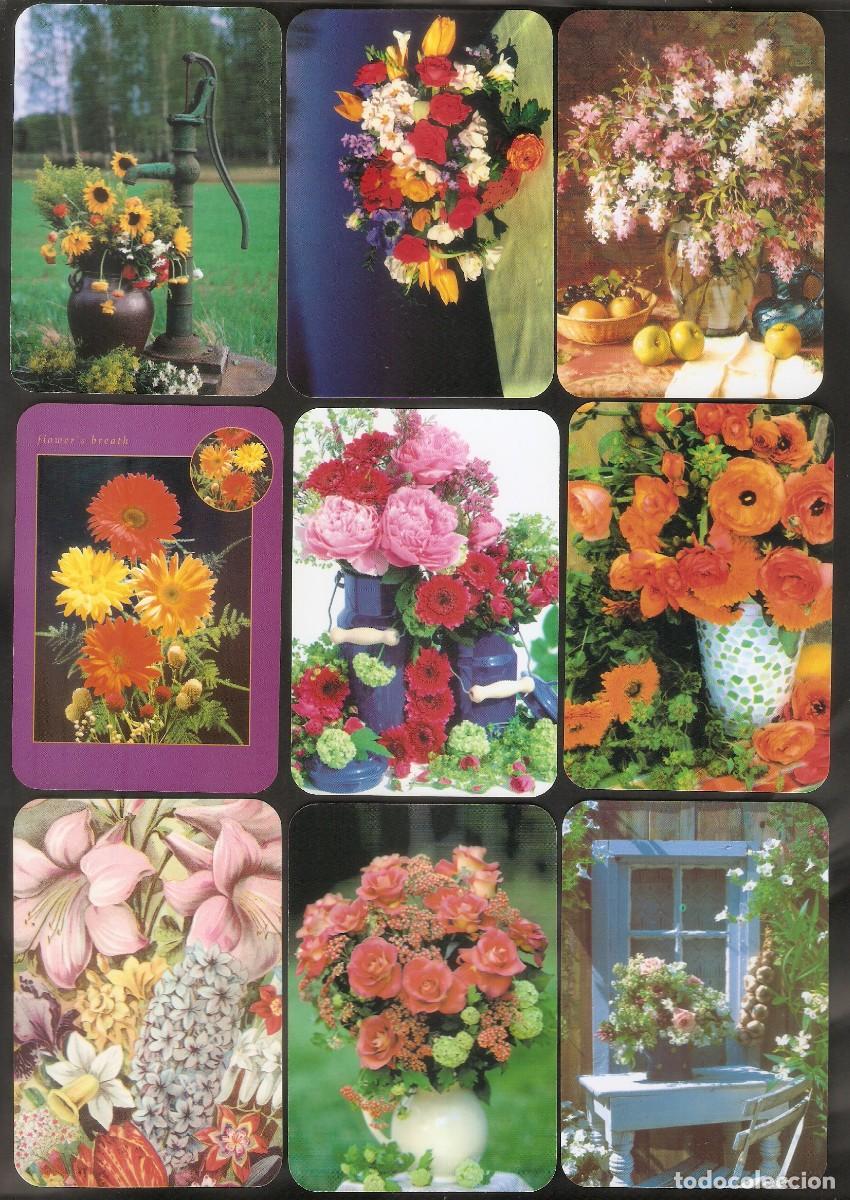 Kalender: 9 CALENDARIOS BOLSILLO SERIE EDIJAR A&Ntilde;OS 2005 - 2011 FLORA / FLORES - VER FOTO REVERSOS