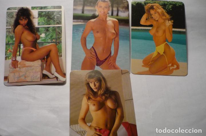 Calendriers: lote calendarios desnudos femeninos 1999