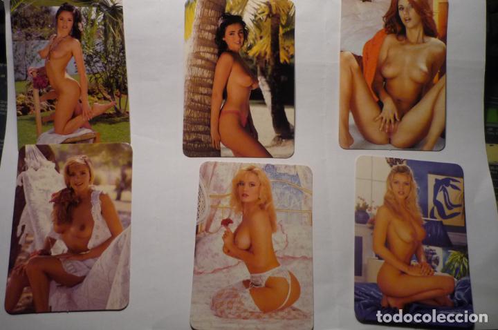 Kalender: lote calendarios desnudos femeninos 2004