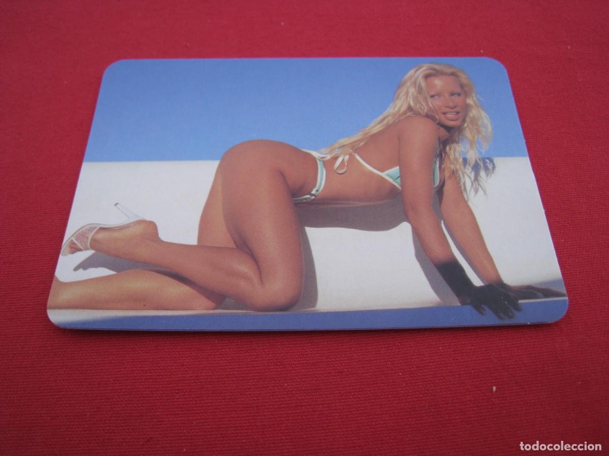 Calendriers: CALENDARIO DE BOLSILLO - CHICA DESNUDA - A&Ntilde;O 2004.