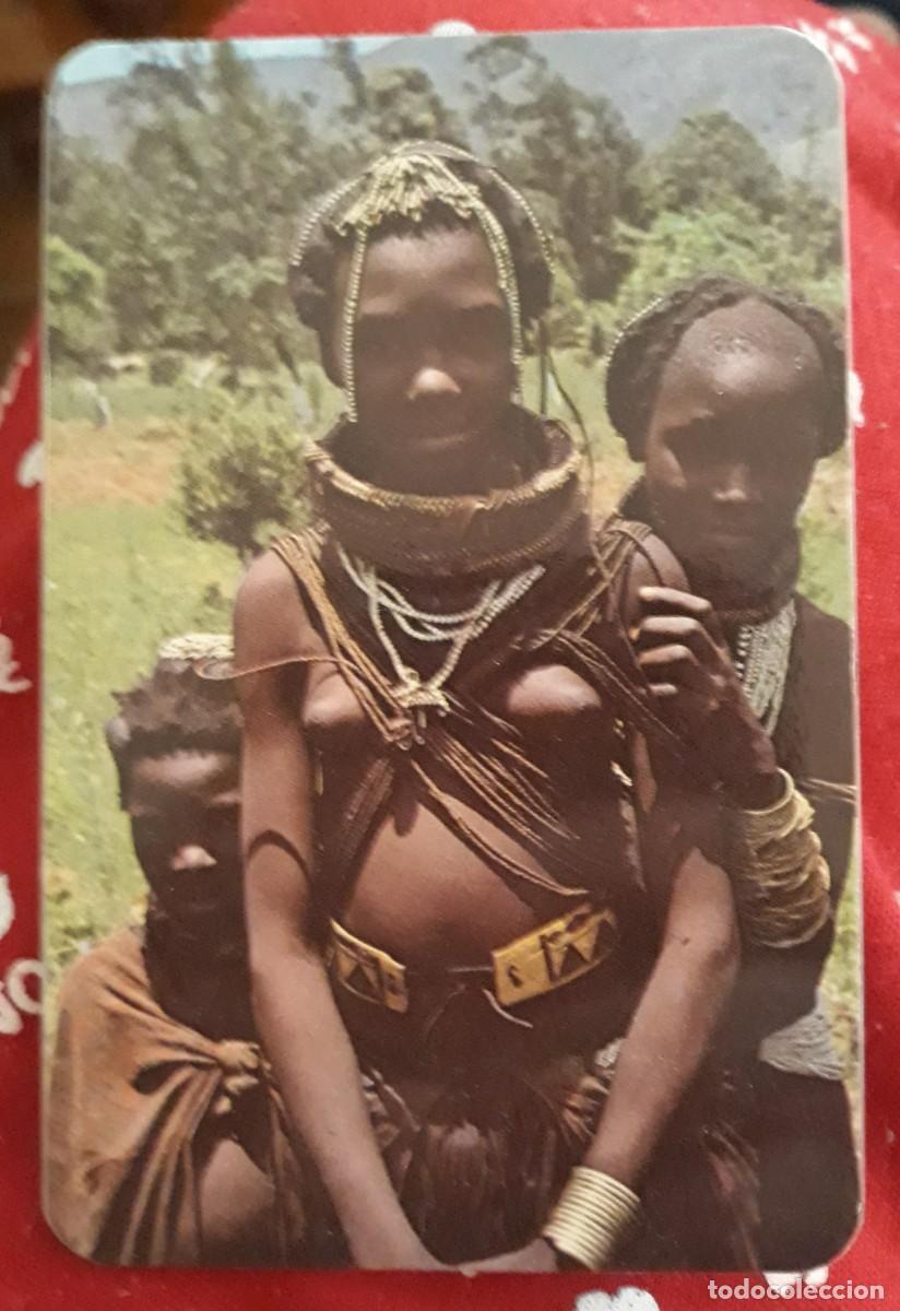 Kalender: -80373 CALENDARIO DESNUDO FEMENINO, ER&Oacute;TICO, A&Ntilde;O 1984/85, PUBLICITARIO EXTRANJERO