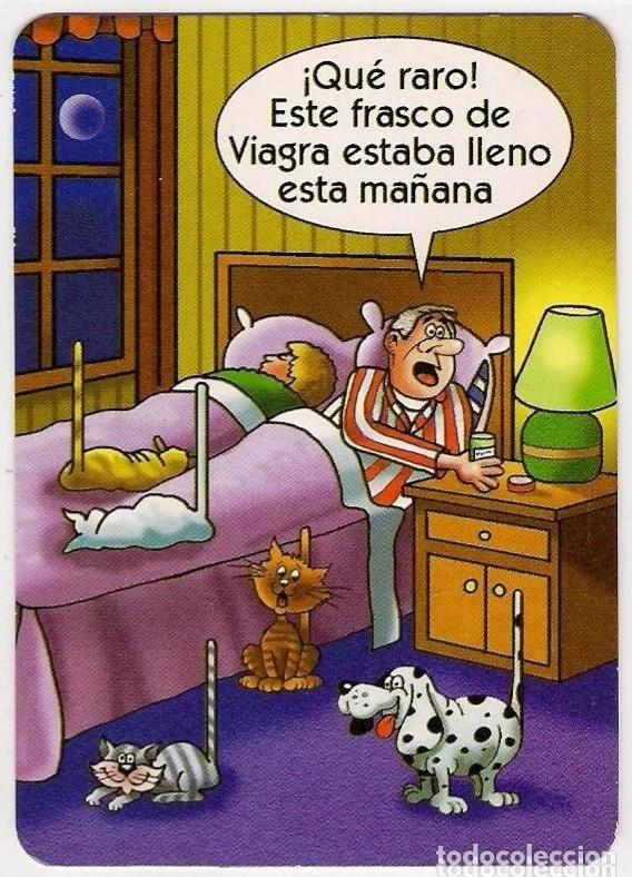 Kalender: -77416 CALENDARIO HUMOR EROTICO, A&Ntilde;O 2005, GATOS, CON PUBLICIDAD, SERIE BO 627, DIBUJO