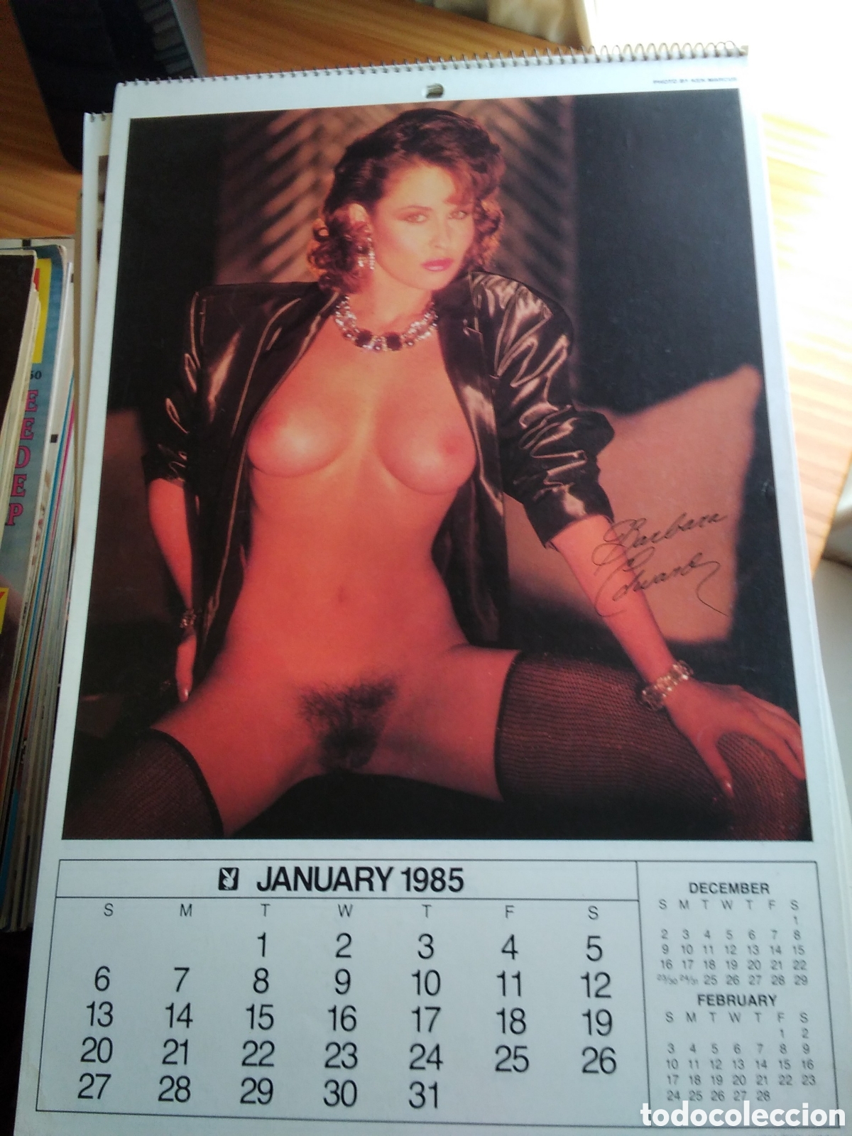 Calendars: Calendario Playboy americano de pared a&ntilde;o 1985