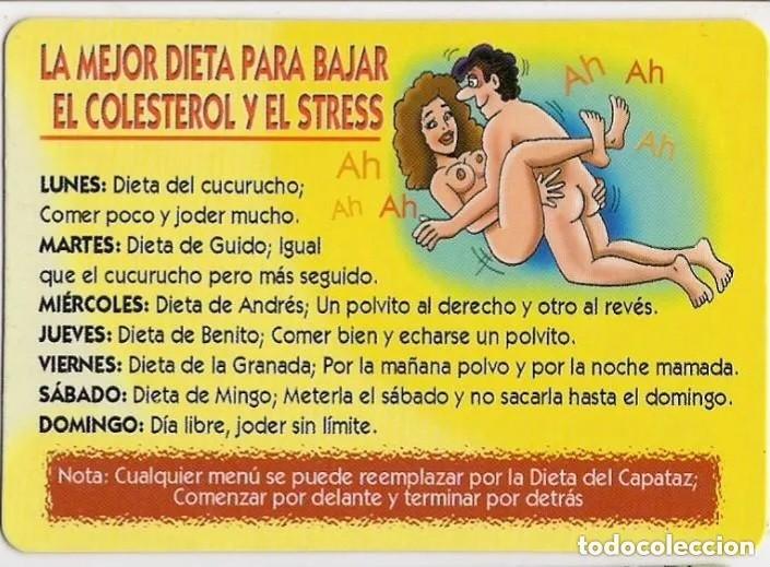 Kalender: -69876 CALENDARIO HUMOR DESNUDO FEMENINO, , EROTICO, A&Ntilde;O 2004, SERIE CB 112, CON PUBLICIDAD, DIBUJO