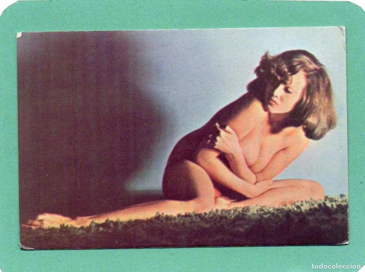 Calendriers: Calendario de Chicas 1984 - EXTRANJERO