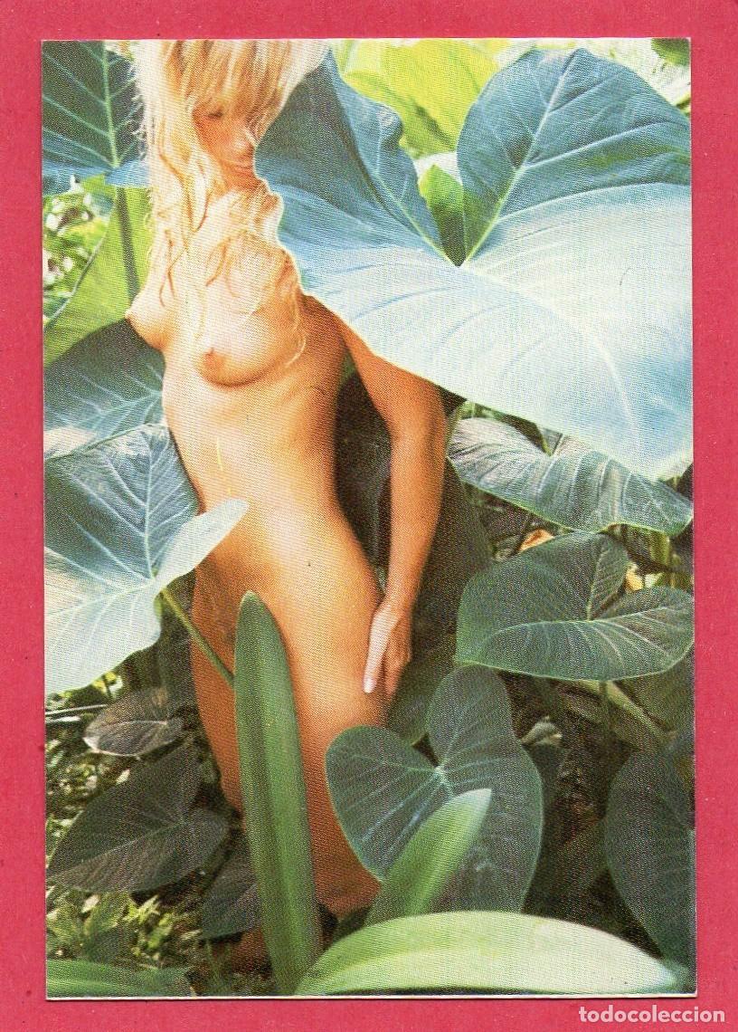 Calendriers: Calendario de Chicas 2000 - EXTRANJERO