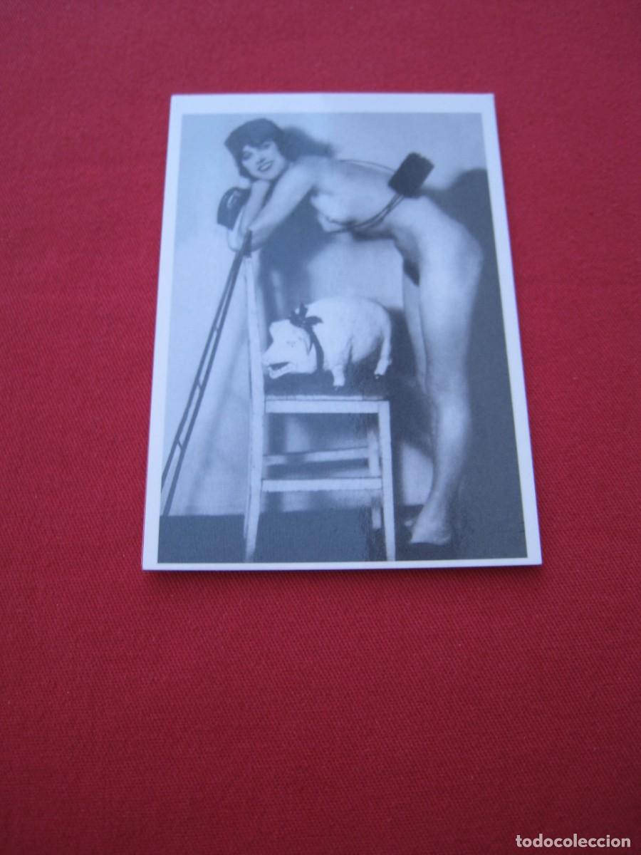 Kalender: CALENDARIO DE BOLSILLO - CHICA - EROTICO - A&Ntilde;O 2010.