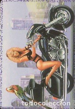 Kalender: CALENDARIO SE&Ntilde;ORITA. A&Ntilde;O 2005. CAL-9229