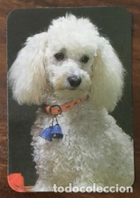 Calendriers: CALENDARIO PERROS A&Ntilde;O 1978 CAL-8611