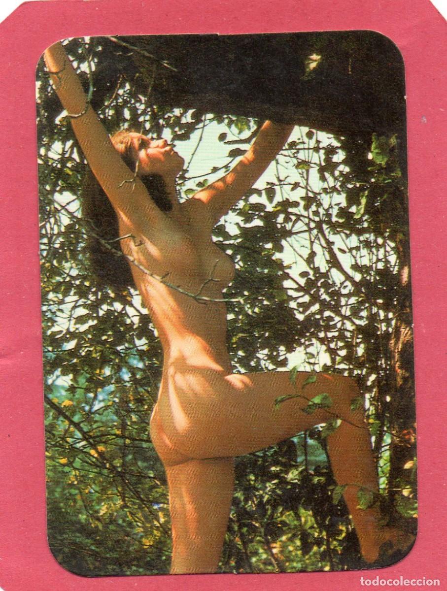 Calendars: Calendario de Chicas 1978 - SERIE - A.G. COBAS 17.199