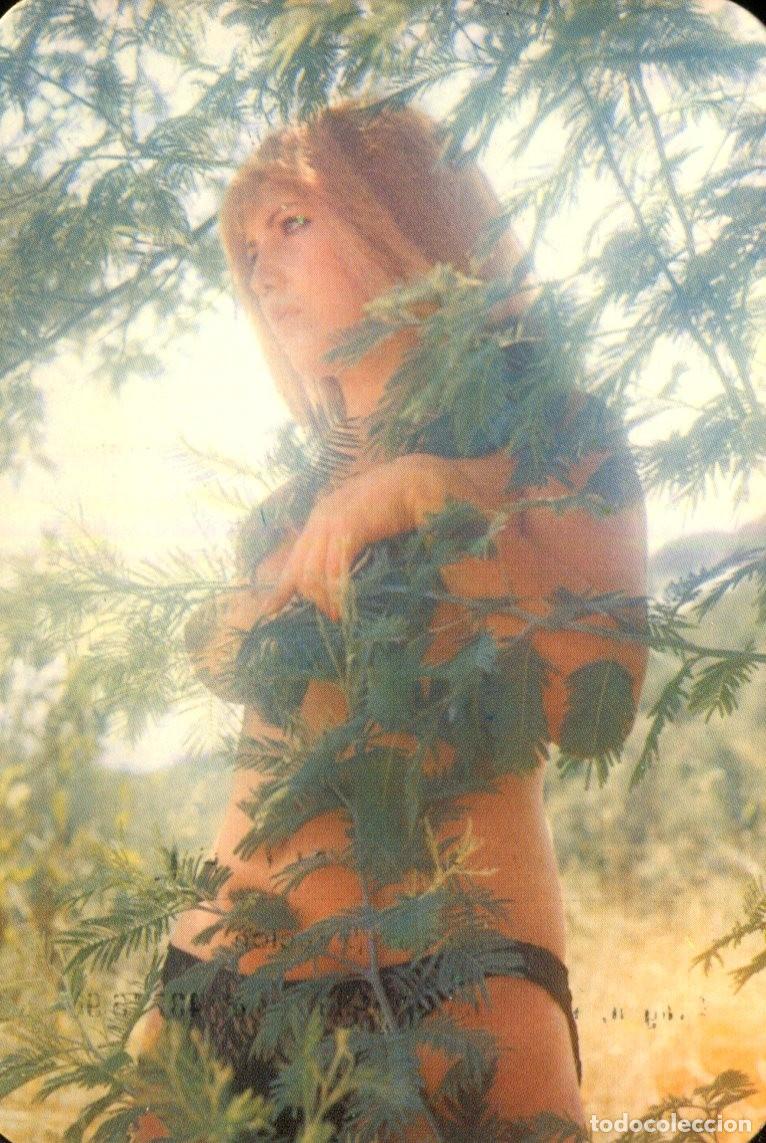 Calendriers: Calendario de Serie Chica Erotico Desnudo A&ntilde;o 1977 - SERIE