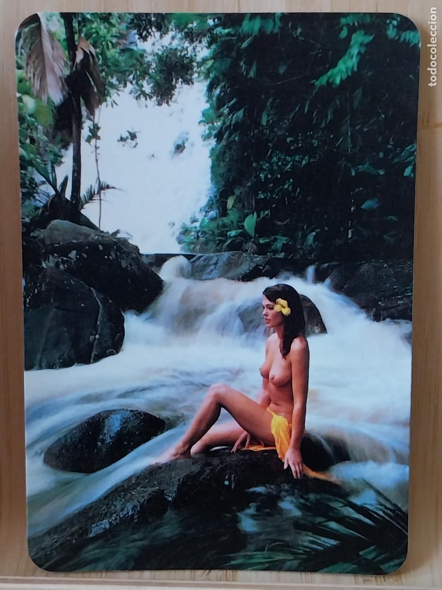 Calendarios: CALENDARIO EROTICO MUJER RIO A&Ntilde;O 1985 PUBLI LIMPIEZAS JULIAN SANTOS MP 85