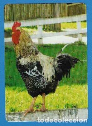Calendarios: CALENDARIOS DE BOLSILLO A&Ntilde;O 2016 FAUNA - GALLO - CON PUBLICIDAD - VER FOTO REVERSO