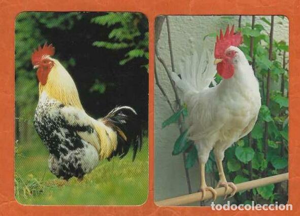 Calendarios: 2 CALENDARIOS DE BOLSILLO A&Ntilde;O 2010 FAUNA - GALLOS - SIN PUBLICIDAD - VER FOTO REVERSOS