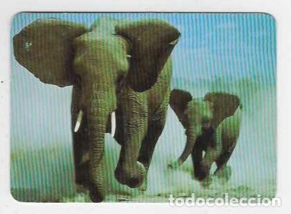 Calendarios: CALENDARIO DE BOLSILLO A&Ntilde;O 1993 FAUNA - ELEFANTES - SIN PUBLICIDAD - VER FOTO REVERSO