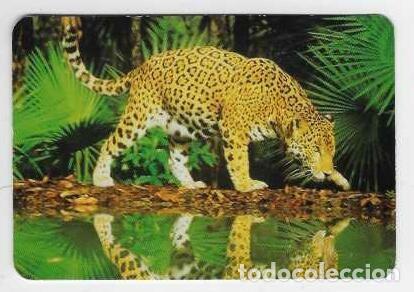 Calendarios: CALENDARIO DE BOLSILLO A&Ntilde;O 2009 FAUNA - LEOPARDO - CON PUBLICIDAD - VER FOTO REVERSO