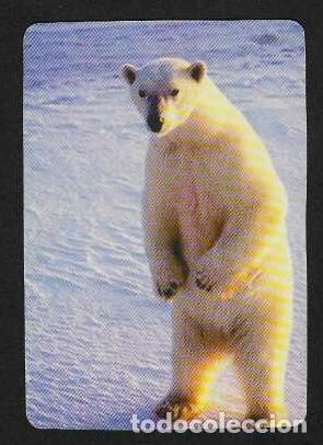 Calendarios: CALENDARIO DE BOLSILLO DE COLOMBIA A&Ntilde;O 1999 FAUNA - OSO POLAR - VER FOTO REVERSO