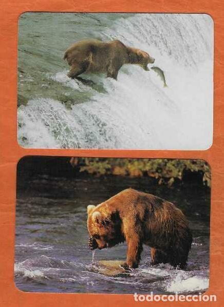 Calendarios: 2 CALENDARIOS DE BOLSILLO DE SERIE A&Ntilde;OS 1994 - 1995 FAUNA - OSOS PARDO - VER FOTO REVERSOS