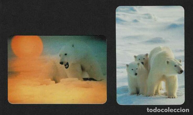 Calendarios: 2 CALENDARIOS DE BOLSILLO DE SERIE A&Ntilde;OS 1995 - 1996 FAUNA - OSOS POLARES - VER FOTO REVERSOS