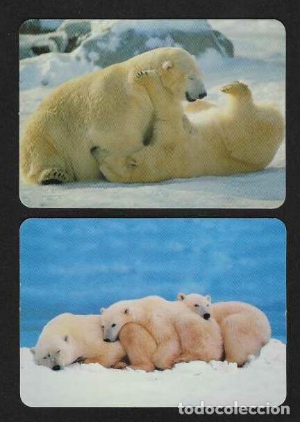 Calendarios: 2 CALENDARIOS DE BOLSILLO DE SERIE A&Ntilde;OS 2006 - 2008 FAUNA - OSOS POLARES - VER FOTO REVERSOS