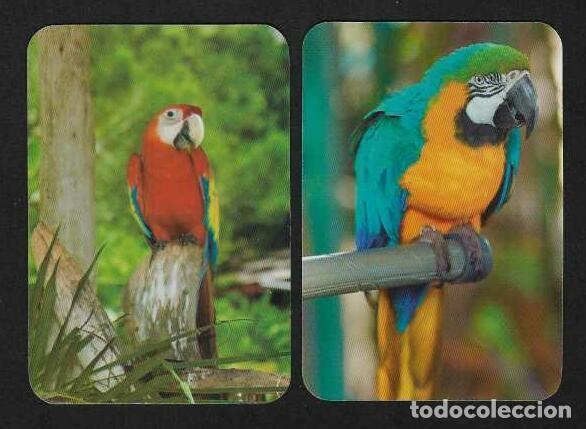 Calendarios: 2 CALENDARIOS BOLSILLO SERIE EDIJAR A&Ntilde;OS 2009 - 2016 FAUNA - AVES - GUACAMAYOS - VER FOTO REVERSOS