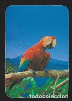 Calendarios: CALENDARIO DE BOLSILLO A&Ntilde;O 2007 FAUNA - AVES - GUACAMAYO - SIN PUBLICIDAD - VER FOTO REVERSO