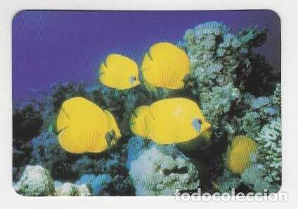 Calendarios: CALENDARIO DE BOLSILLO A&Ntilde;O 2004 FAUNA - PECES - CON PUBLICIDAD - VER FOTO REVERSO
