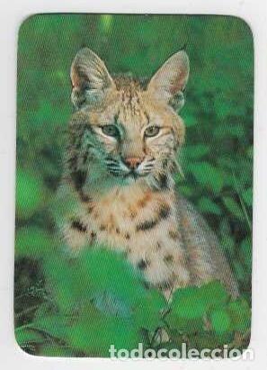 Calendarios: CALENDARIO DE BOLSILLO A&Ntilde;O 1993 FAUNA - LINCE - SIN PUBLICIDAD - VER FOTO REVERSO