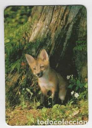 Calendarios: CALENDARIO DE BOLSILLO A&Ntilde;O 2003 FAUNA - ZORRO ROJO - SIN PUBLICIDAD - VER FOTO REVERSO