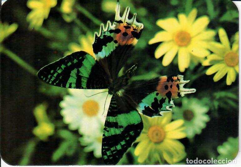 Calendarios: CALENDARIO DE SERIE - A&Ntilde;O 1970 - GRAY - 407 - MARIPOSA