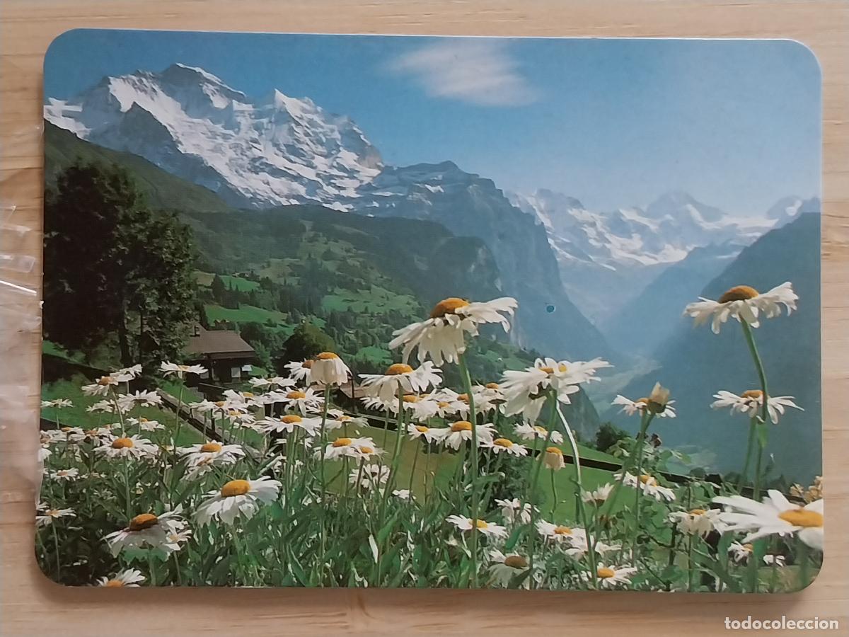 Calendarios: NAVALAGAMELLA CALENDARIO 1996 PUBLI BAR MIRADOR REF BO 5312 PAISAJE MARGARITAS