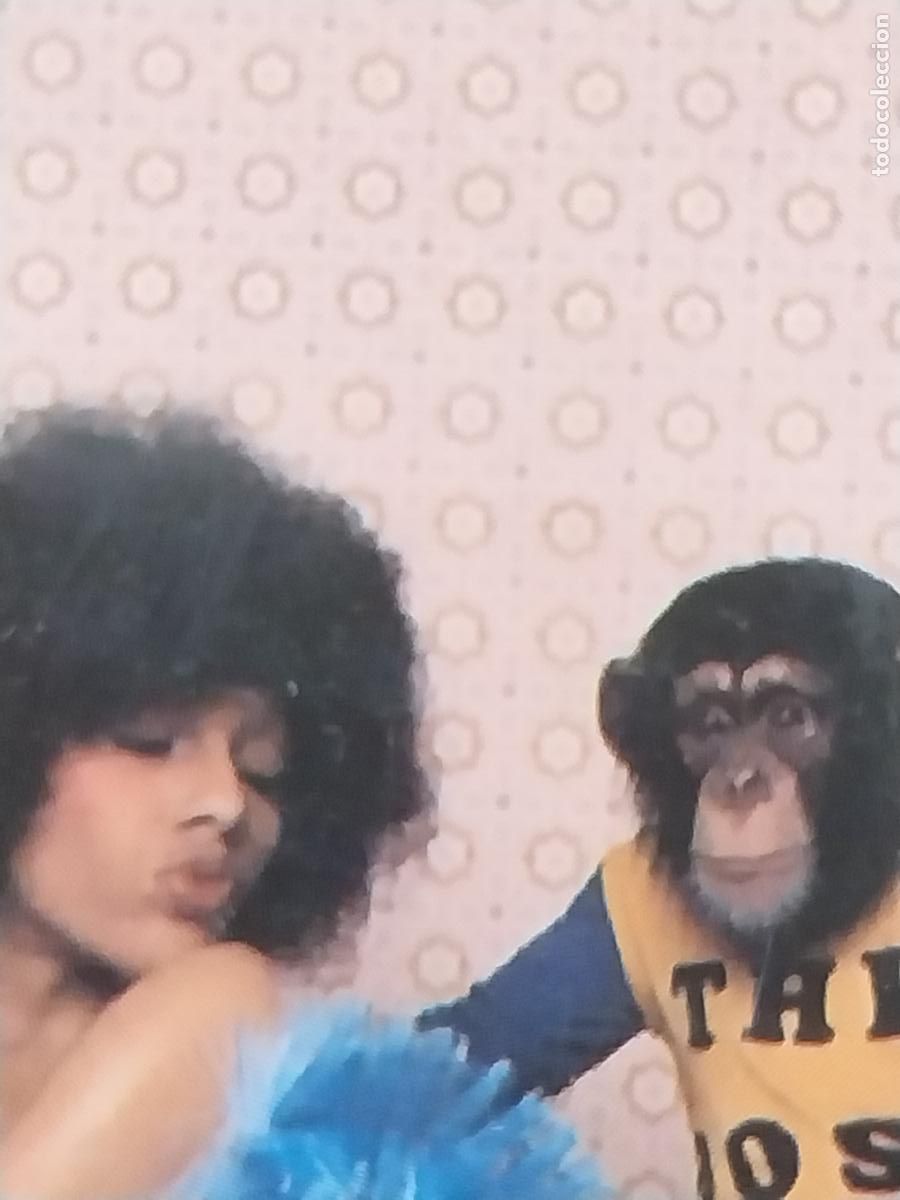 Calendarios: MUJER CHIMPANCE ADULTOS 1988 PUBLI BURGER OLYMPIA REF CB 102