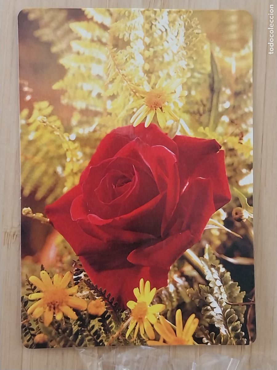 Calendarios: FLORES BODEGON CALENDARIO 2006 PUBLI PAPELERIA SARA REF CB 95