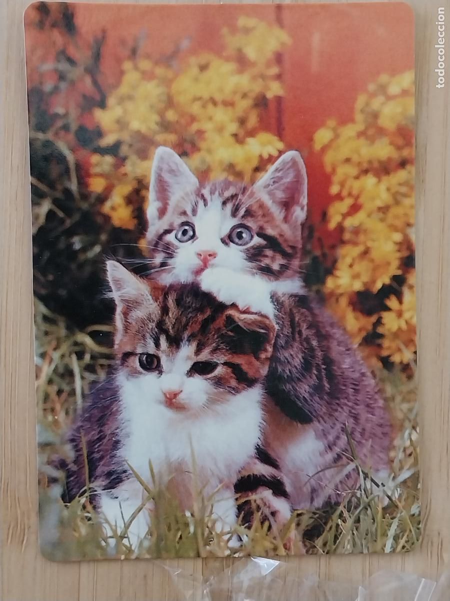 Calendarios: GATITOS CACHORROS CALENDARIO 2006 PUBLI PAPELERIA SARA REF CB 84
