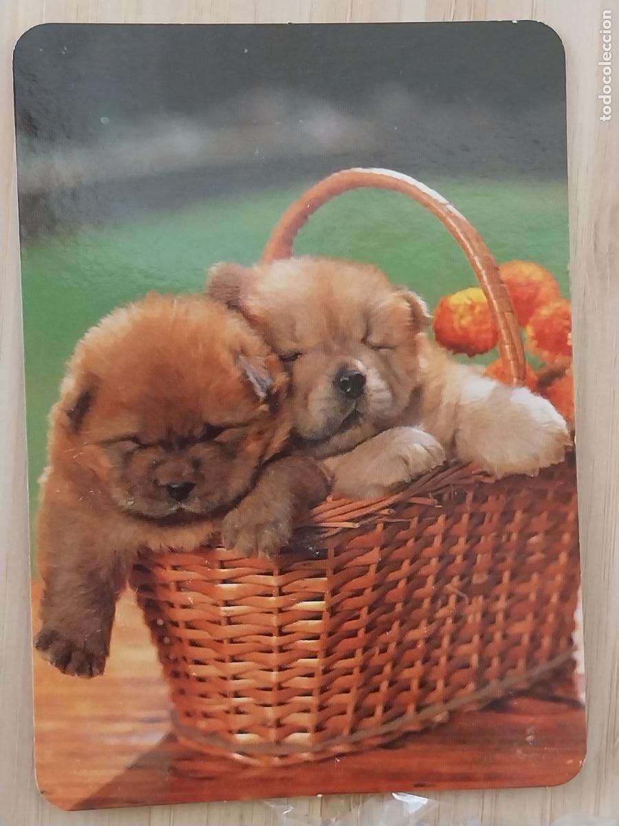 Calendarios: CACHORROS PERROS CESTA CALENDARIO 2005 PUBLI YESUS PELUQUERIA REF BO 576