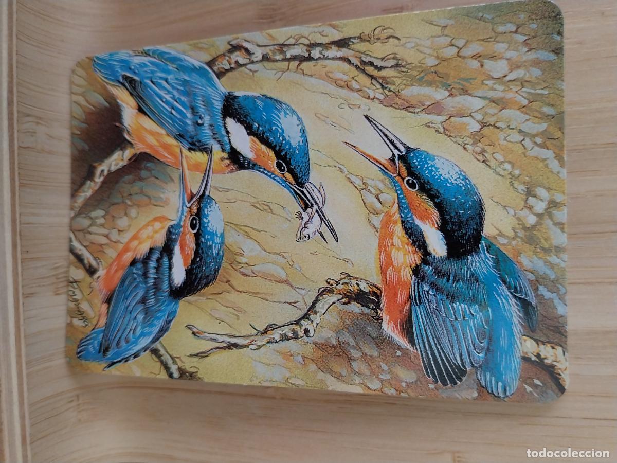 Calendarios: PAJARILLOS ILUSTRACION CALENDARIO A&Ntilde;O 1997 PUBLI *** PAJARERIA OROPENDOLA *** REF L 250 --