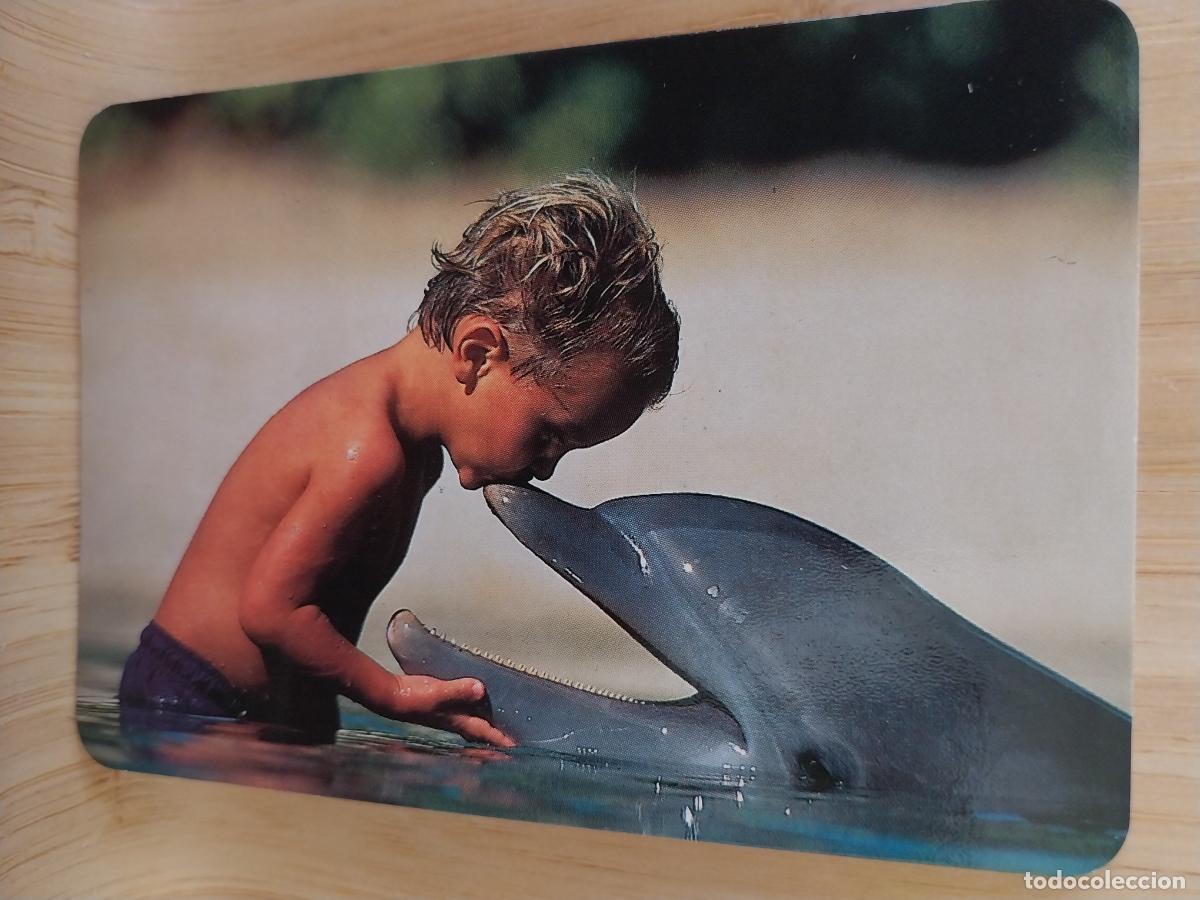 Kalender: DELFIN NI&Ntilde;O CALENDARIO A&Ntilde;O 1999 PUBLI *** PAJARERIA OROPENDOLA *** REF RR 32