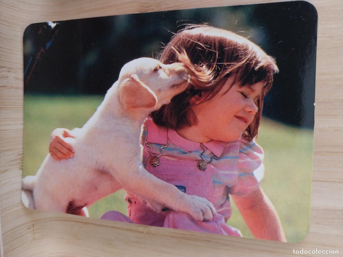 Kalender: NI&Ntilde;A CACHORRO CALENDARIO A&Ntilde;O 1998 PUBLI *** VIMAR CERVECERIA *** REF EGC 56