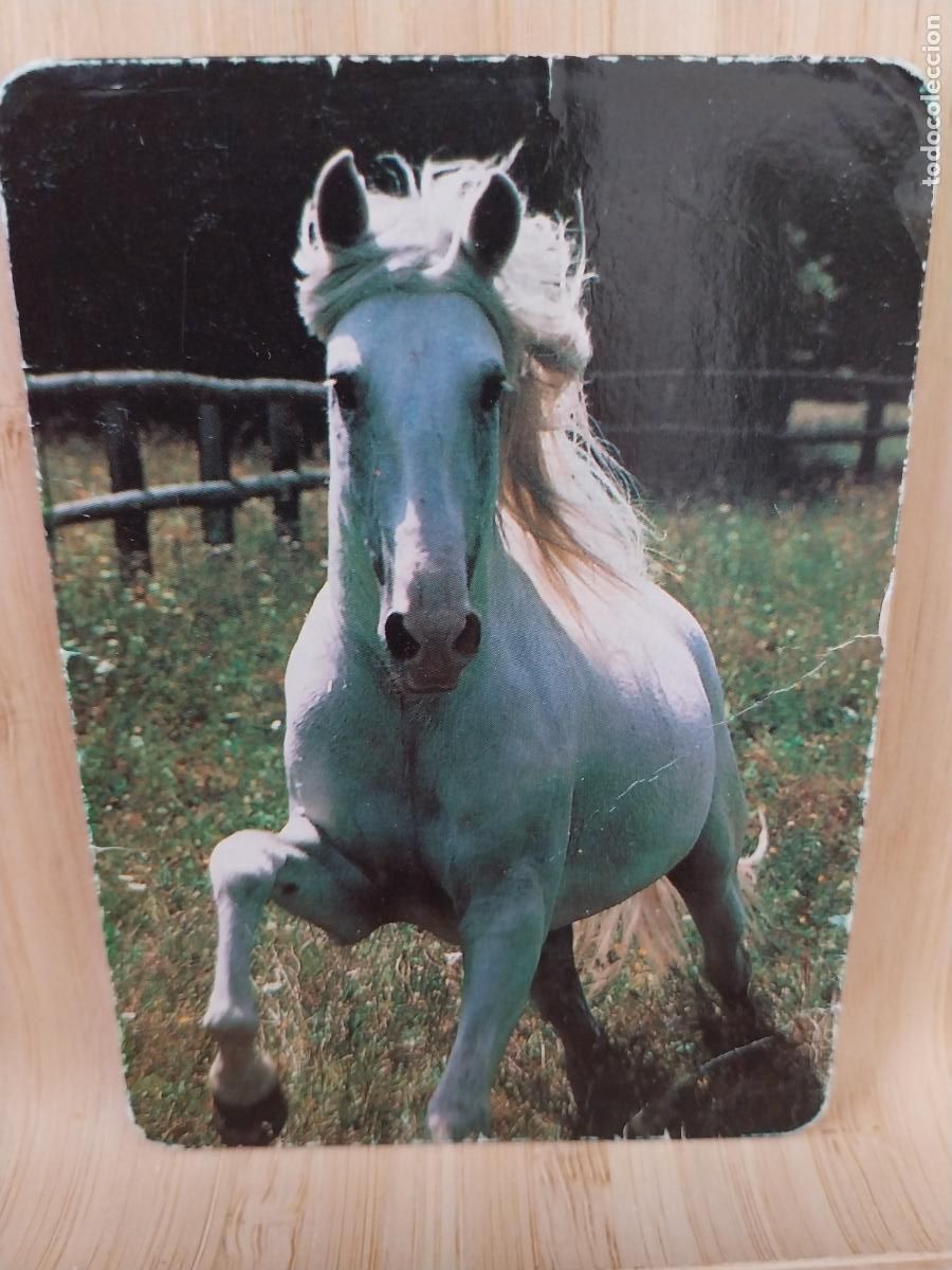 Kalender: CABALLO BLANCO CALENDARIO A&Ntilde;O 1999 PUBLI *** TALLERES MORATALAZ *** REF BO 543