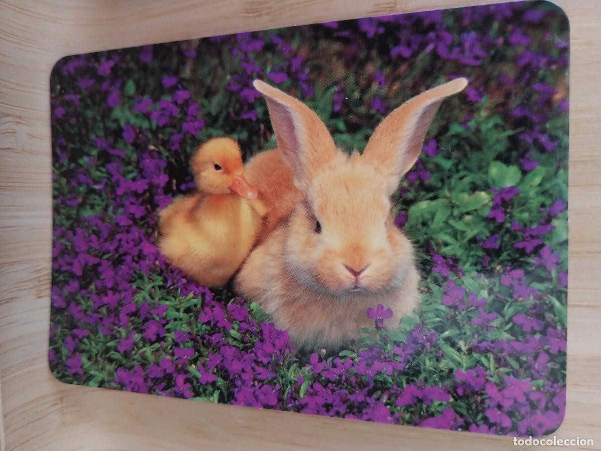 Kalender: PATITO CONEJO CALENDARIO A&Ntilde;O 1998 PUBLI *** GUBERT CAFETERIA *** REF EGC 79