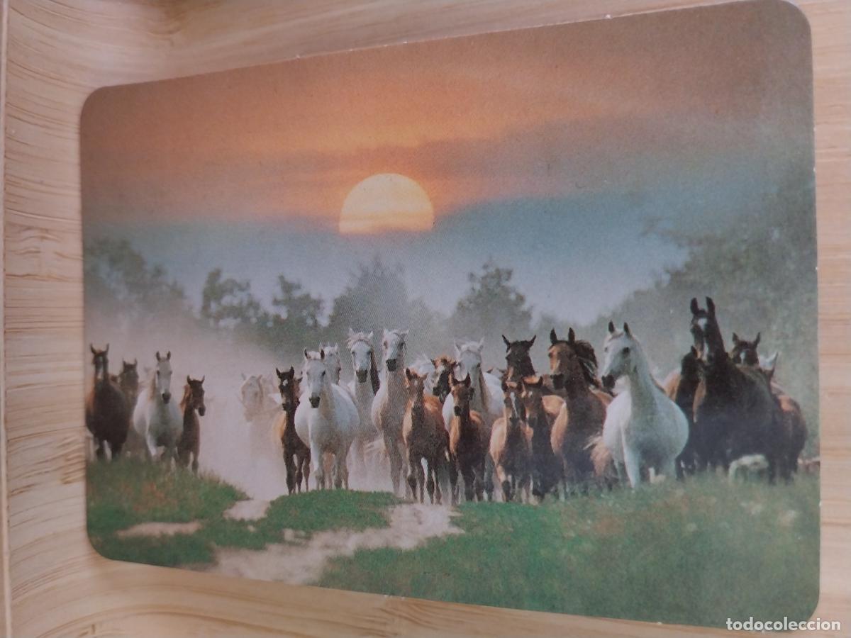 Kalender: CABALLOS MANADA CALENDARIO A&Ntilde;O 2002 PUBLI *** DO&Ntilde;A LUCI LOTERIAS *** REF BO 555