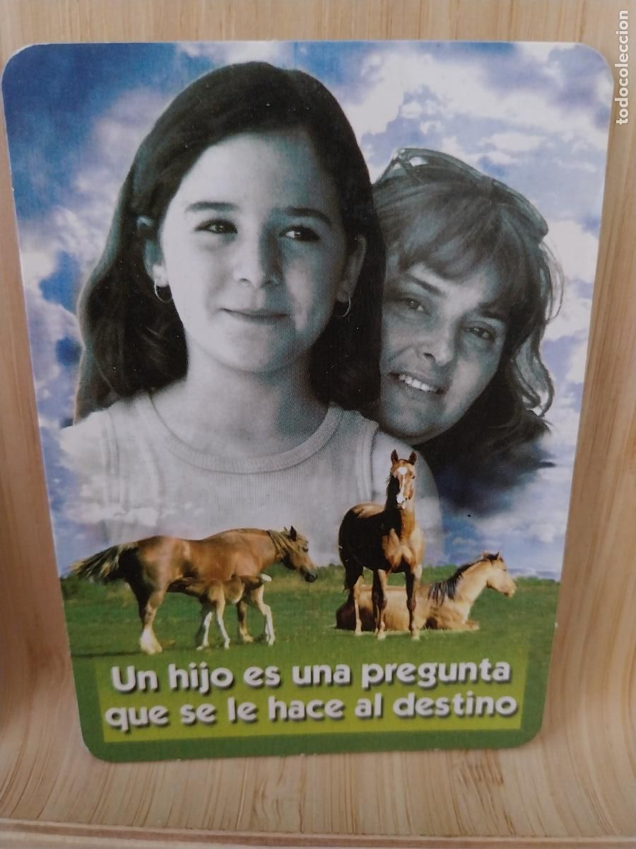 Kalender: CABALLOS MADRE HIJA CALENDARIO A&Ntilde;O 2003 PUBLI *** CARNICERIA JOAQUIN *** REF BO 603 ***