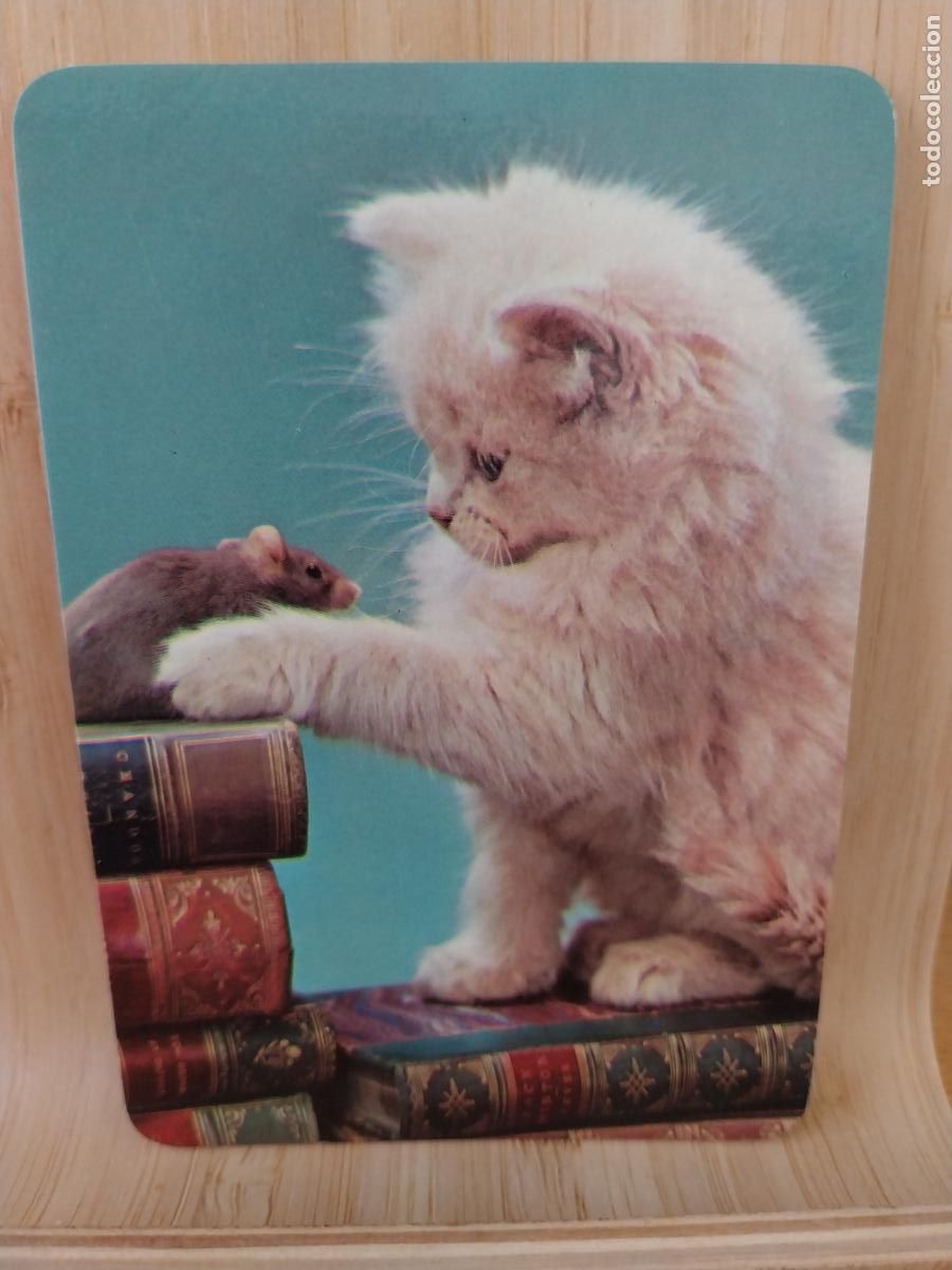 Kalender: GATO RATON CALENDARIO A&Ntilde;O 1990 PUBLI *** VIDEO CLUB GADOVI *** REF CLB 2021 ***