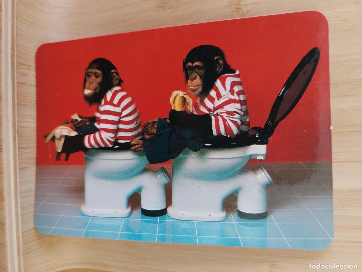 Kalender: CHIMPANCES WC CALENDARIO A&Ntilde;O 1994 PUBLI *** BAR PACHANGA *** REF MC 37 ***
