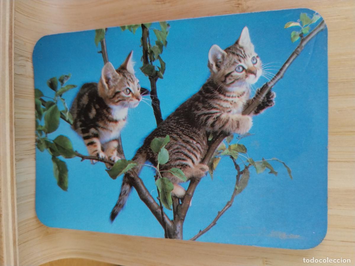 Kalender: GATOS ARBOL CALENDARIO A&Ntilde;O 1997 PUBLI *** NEUMATICOS JUAN MOYA *** REF 880 ***
